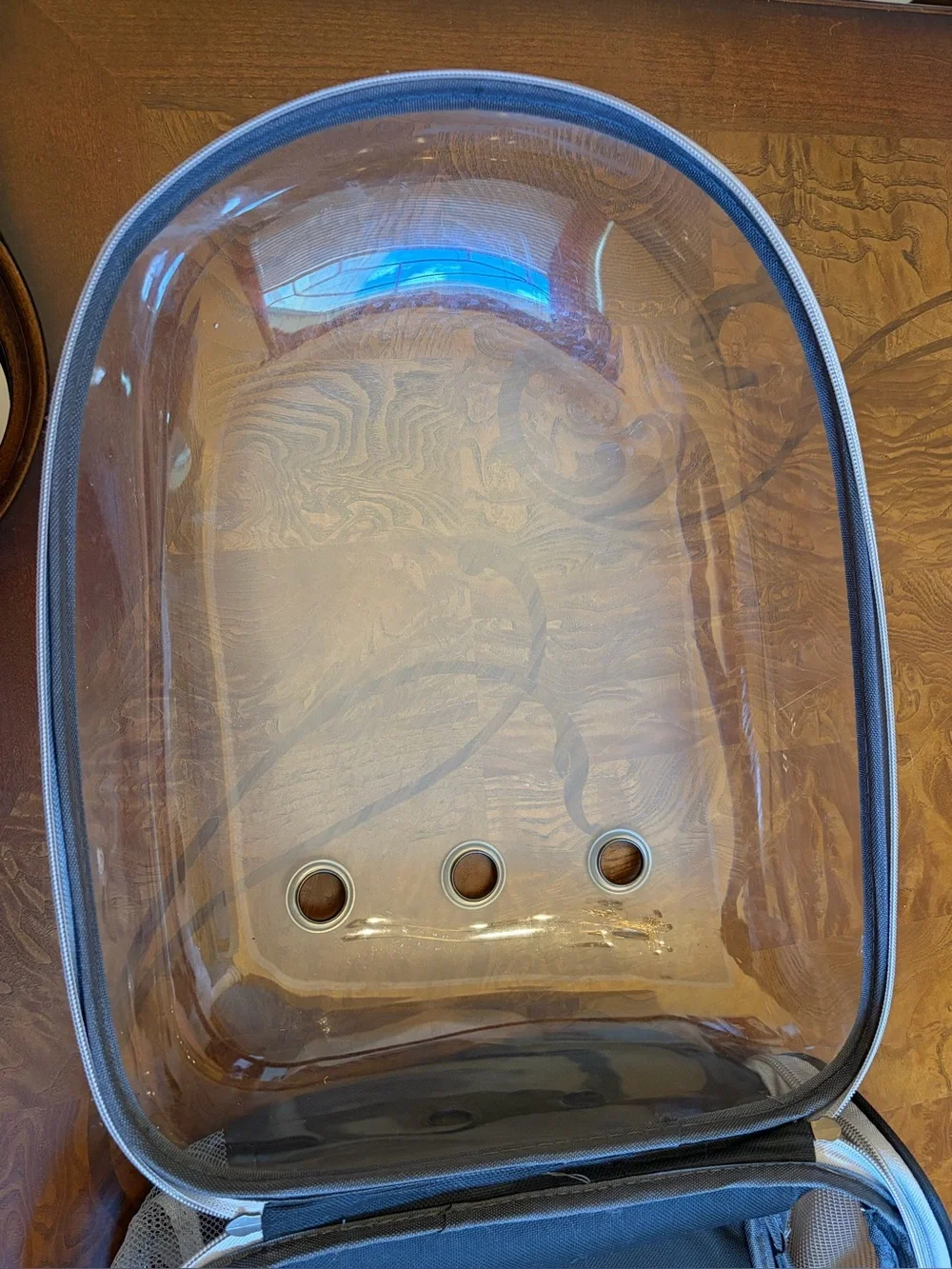 Clear Bubble Pet Carrier Backpack - Black Trim